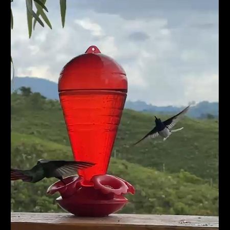 Bed and Breakfast El Refugio Del Colibri Санта-Роса-де-Кабаль Экстерьер фото